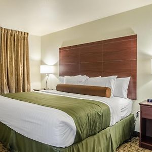 King Room Disability Access